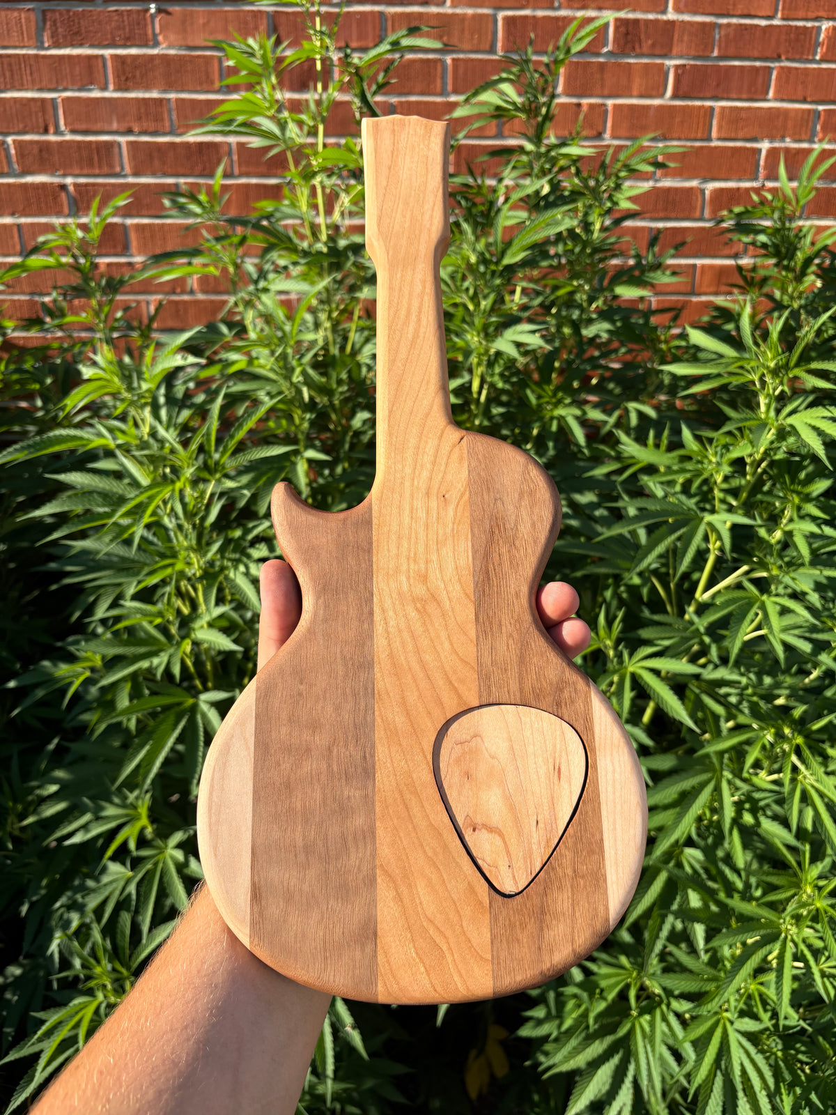 Cribbage Guitar